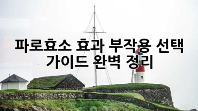 파로효소 효과, 부작용, 선택 가이드 완벽 정리!