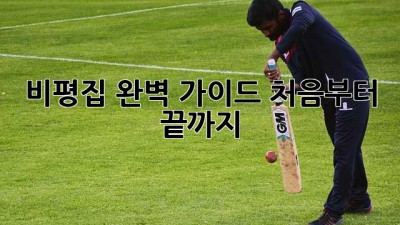 비평집 완벽 가이드: 처음부터 끝까지
